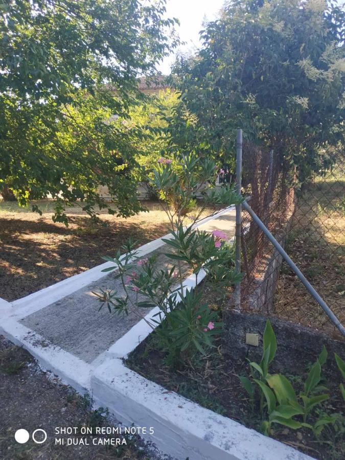 Dassia Green Apartments *